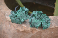 Natural Chatoyant Silky Malachite Specimens  x 20 From Kasompe, Congo