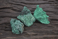 Natural Chatoyant Silky Malachite Specimens  x 20 From Kasompe, Congo