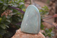 Polished Blue Amazonite Standing Free Forms  x 3 From Madagascar