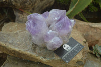 Natural Jacaranda Amethyst Clusters x 2 From Zambia