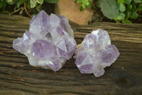 Natural Jacaranda Amethyst Clusters x 2 From Zambia