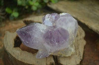 Natural Jacaranda Amethyst Clusters x 2 From Zambia