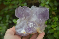 Natural Jacaranda Amethyst Clusters x 2 From Zambia