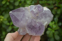 Natural Jacaranda Amethyst Clusters x 2 From Zambia