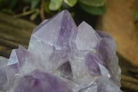 Natural Jacaranda Amethyst Clusters x 2 From Zambia