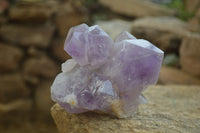 Natural Jacaranda Amethyst Clusters x 2 From Zambia