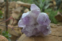 Natural Jacaranda Amethyst Clusters x 2 From Zambia