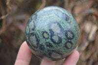 Polished Stromatolite Spheres  x 4 From Katsepy, Madagascar