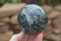 Polished Stromatolite Spheres  x 4 From Katsepy, Madagascar