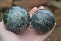 Polished Stromatolite Spheres  x 4 From Katsepy, Madagascar