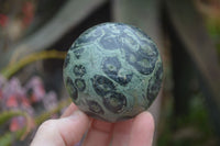 Polished Stromatolite Spheres  x 4 From Katsepy, Madagascar