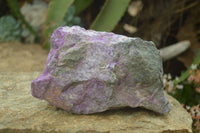 Natural Rough Stichtite & Serpentine Specimens x 3 From Barberton, South Africa