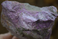 Natural Rough Stichtite & Serpentine Specimens x 3 From Barberton, South Africa