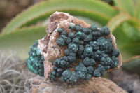 Natural Rare Ball Malachite On Drusy Quartz Dolomite Specimens  x 2 From Kambove, Congo