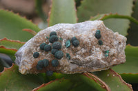 Natural Rare Ball Malachite On Drusy Quartz Dolomite Specimens x 2 From Kambove, Congo