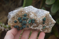 Natural Rare Ball Malachite On Drusy Quartz Dolomite Specimens x 2 From Kambove, Congo