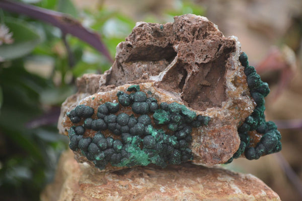 Natural Rare Ball Malachite On Drusy Quartz Dolomite Specimens x 2 From Kambove, Congo