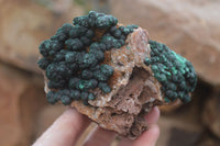 Natural Rare Ball Malachite On Drusy Quartz Dolomite Specimens x 2 From Kambove, Congo