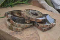 Polished Petrified Wood Slices  x 6 From Gokwe, Zimbabwe