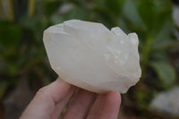 Natural Large Quartz Crystals  x 6 From Madagascar