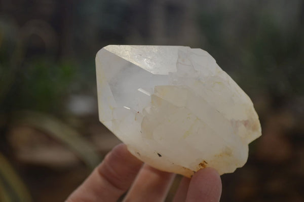 Natural Large Quartz Crystals  x 6 From Madagascar