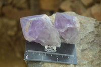 Polished Jacaranda Amethyst Crystals x 12 From Zambia