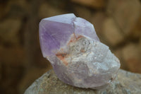 Polished Jacaranda Amethyst Crystals x 12 From Zambia