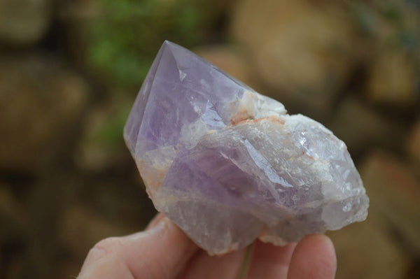 Polished Jacaranda Amethyst Crystals x 12 From Zambia