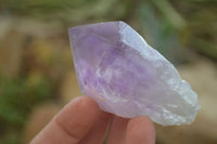 Polished Jacaranda Amethyst Crystals x 12 From Zambia