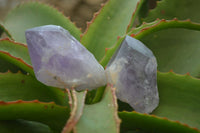 Polished Jacaranda Amethyst Crystals x 12 From Zambia