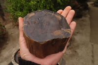 Polished Petrified Wood Branch Pieces  x 3 From Gokwe, Zimbabwe