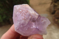 Natural Jacaranda Amethyst Crystals x 35 From Zambia