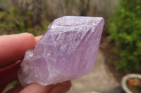 Natural Jacaranda Amethyst Crystals x 35 From Zambia