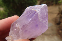 Natural Jacaranda Amethyst Crystals x 35 From Zambia