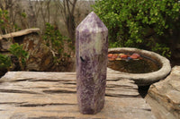 Polished Purple Lepidolite Points  x 3 From Madagascar