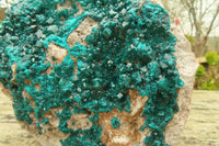 Natural Large Emerald Dioptase Dolomite Specimen  x 1 From Congo