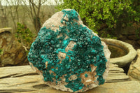 Natural Large Emerald Dioptase Dolomite Specimen  x 1 From Congo