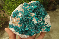 Natural Large Emerald Dioptase Dolomite Specimen  x 1 From Congo