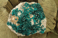 Natural Large Emerald Dioptase Dolomite Specimen  x 1 From Congo