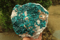 Natural Large Emerald Dioptase Dolomite Specimen  x 1 From Congo