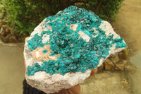 Natural Large Emerald Dioptase Dolomite Specimen  x 1 From Congo