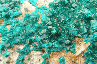 Natural Large Emerald Dioptase Dolomite Specimen  x 1 From Congo