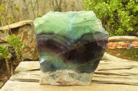 Polished One Side Polished Watermelon Fluorite Slab  x 1 From Uis, Namibia