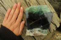 Polished One Side Polished Watermelon Fluorite Slab  x 1 From Uis, Namibia