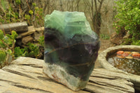 Polished One Side Polished Watermelon Fluorite Slab  x 1 From Uis, Namibia