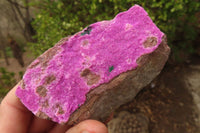 Natural Pink Salrose Cobaltion Dolomite Specimens x 6 From Kakanda, Congo