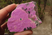 Natural Pink Salrose Cobaltion Dolomite Specimens x 6 From Kakanda, Congo