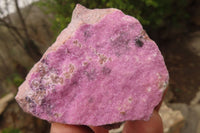 Natural Pink Salrose Cobaltion Dolomite Specimens x 6 From Kakanda, Congo