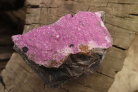 Natural Pink Salrose Cobaltion Dolomite Specimens x 6 From Kakanda, Congo