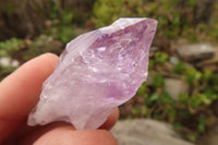 Natural Jacaranda Amethyst Crystals x 35 From Zambia